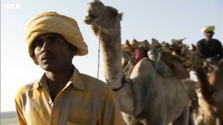 An Indian Paradise for Birds ｜ Ganges ｜ BBC Earth