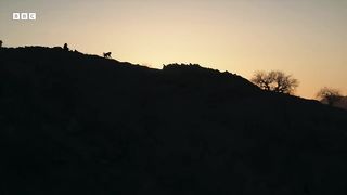 First Look： Planet Earth III ft. Hans Zimmer, RAYE and Bastille ｜ BBC Earth