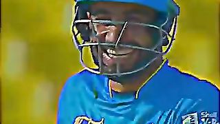 Cricket lover