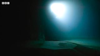 Eel Suffers Toxic Shock ｜ 4K UHD ｜ Blue Planet II ｜ BBC Earth