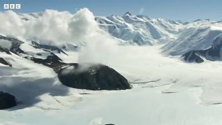 Weddell Seals： Antarctica's Permanent Resident ｜ Snow Animals ｜ BBC Earth