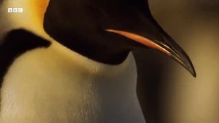 Sir David Attenborough on the Planet Earth series ｜ Planet Earth III ｜ BBC Earth