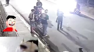 ???? dogs