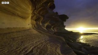 Baby Tasmanian Devils Start to Explore ｜ 4K UHD ｜ Seven Worlds One Planet ｜ BBC Earth