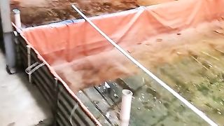 PF 1000 di blender halus, Gantikan CACING SUTERA bisa atau tidak❓