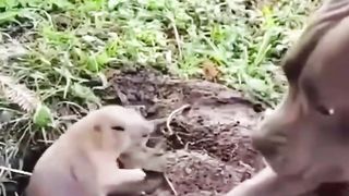 Leave me alone !!
