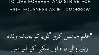 Embrace Knowledge & Virtue ????