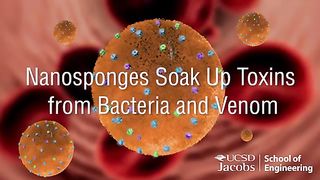 Nanosponges Soak Up Toxins Released by Bacterial Infections and Venom