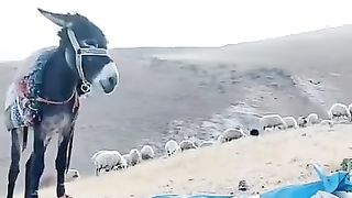 لما تكون الدنيا جايه عليك
