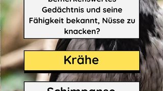 Wie nennt man den Tier in dem Bild ? wer weiß kann mir bitte sagen