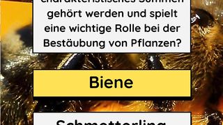 Wer von euch isst Honig?