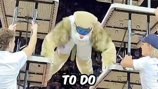 The best mascot ever