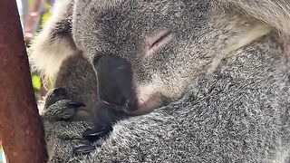 Sometimes all you need is a big cuddle from mum