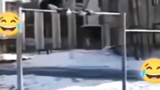 Funny video