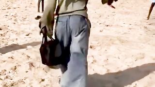 Funny videos 1
