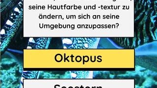 Der Meer Welt