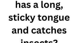 Test Your Knowledge 4