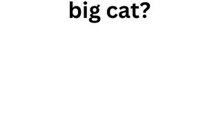 Test Your Knowledge 6