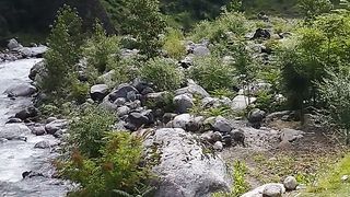 Kashmir
