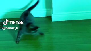 ????????