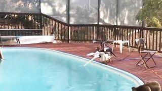 Rescue a sick dog lying on the street