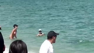 Hammer Head Shark Spotted Eating Lunch At Haulover Miami