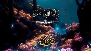 #القران_الكريم