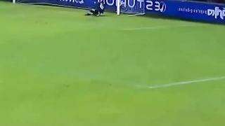 Respect_????????????????????