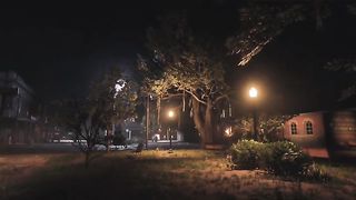 يهدى الله بنوره من يشاء