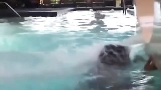 Bro got it in slow motion hhh
