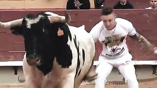 Video Excelente.toro //Suscríbet