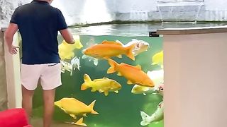 Amazing Indoor Koi Pond!