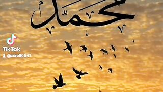 Muhammad is the Messenger of Allah