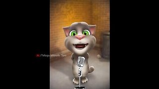 Funny cat