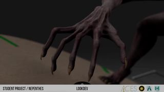 DEMOREEL LOOKDEV 2024