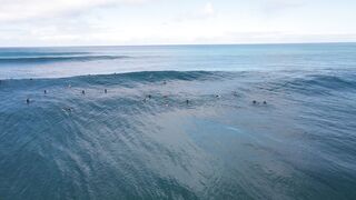 surfing