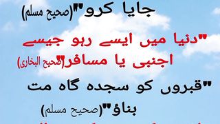 Farmane mustafa