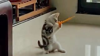 Cute#tiktok #foryou #pet #cute #lovely
