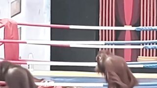 Funny video2024