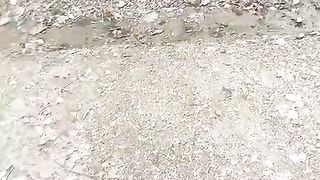 Ramadan pekage