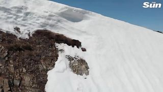 Bear cub climbs mountain to reunite with mama bear