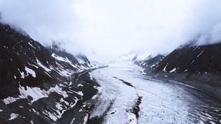 "Captivating Beauty of Nature: A Tribute to its Splendor"