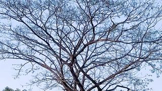 This the most beautiful place of Tangail Bangladesh