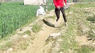 Vidéo Anaconda Snake Chasing Boy ???? #Shorts
