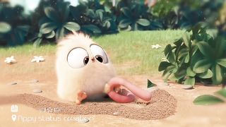 Cute chick ???? cartoon