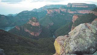 "Embracing Earth's Splendor: A Tribute to Nature's Magnificence"