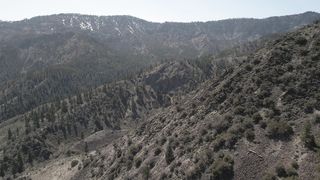 "Reveling in Nature's Majesty: A Tribute to Earth's Magnificence"