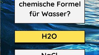 Wissenschaft