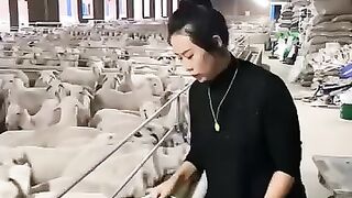 Easy way to feed ????????????????????