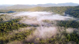 "Cherishing Nature's Splendor: Celebrating Earth's Magnificence"